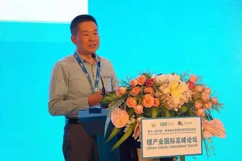 Professor Li Jian, Director of the Institute, delivered a speech at the International Summit Forum on Lithium Industry